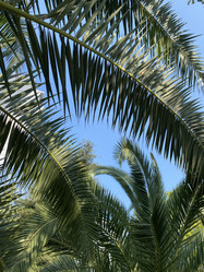 Similar image 21683160