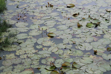 Similar image 21685152