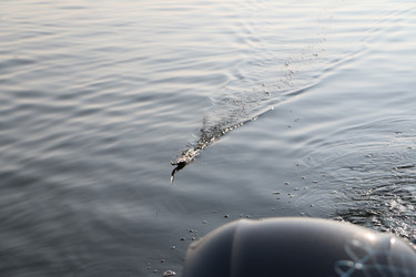 Similar image 21673986