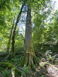 Similar image 21674105