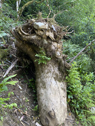 Similar image 21674109