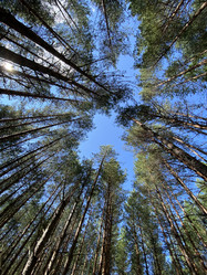 Similar image 21674115