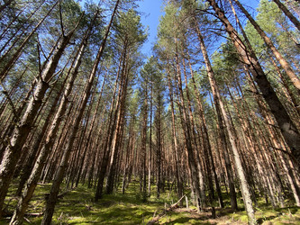 Similar image 21674116