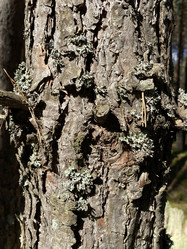 Similar image 21674245