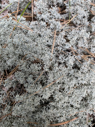 Similar image 21677253