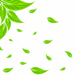 Similar image 21672597