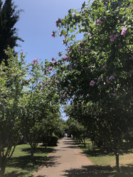 Similar image 21674143