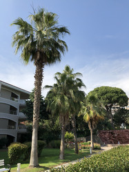 Similar image 21683163