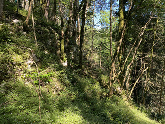 Similar image 21663431