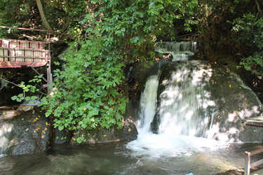 Similar image 21673998