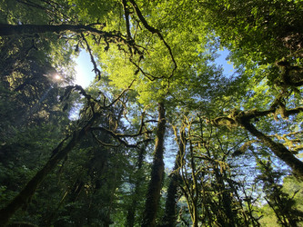 Similar image 21674152