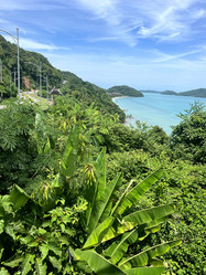 Similar image 21674153