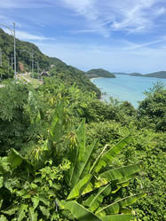 Similar image 21674155