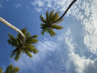 Similar image 21674157