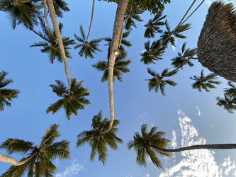 Similar image 21674159