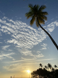 Similar image 21674248