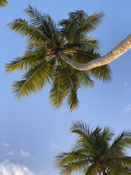 Similar image 21677134