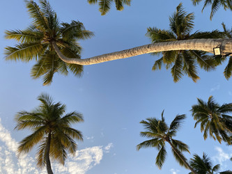 Similar image 21677261