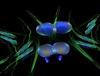 Similar image 21666661