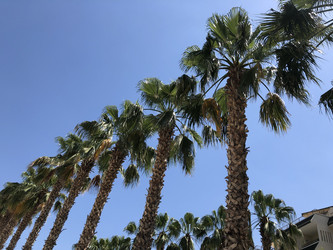 Similar image 21674249