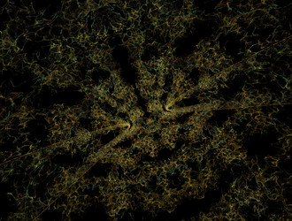 Similar image 21665996