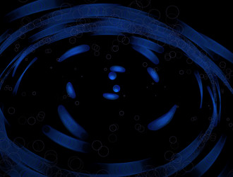 Similar image 21666008