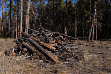 Similar image 21668330