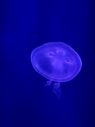 Similar image 21681764