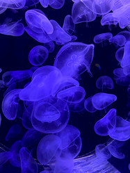 Similar image 21681840