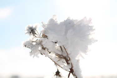 Similar image 21663331