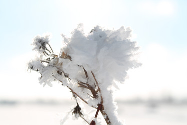 Similar image 21663332