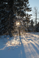 Similar image 21663440