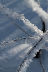 Similar image 21663442