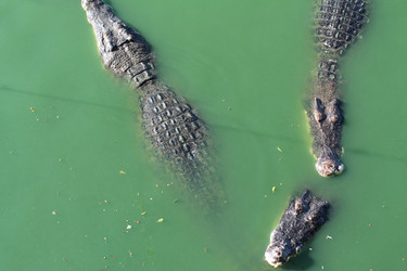 Similar image 21667004