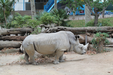 Similar image 21668192