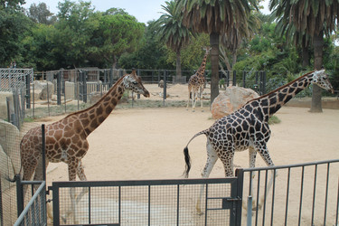 Similar image 21674005