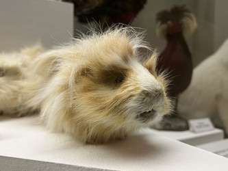 Similar image 21674006