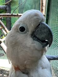 Similar image 21674007