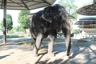 Similar image 21674008