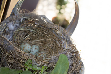 Similar image 21674177