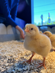 Similar image 21674178