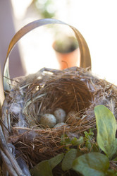 Similar image 21674179