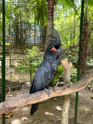 Similar image 21674182