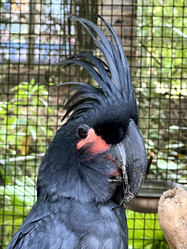 Similar image 21674183