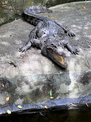 Similar image 21674186