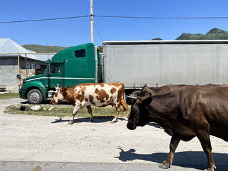 Similar image 21683172