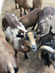 Similar image 21684781