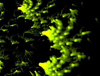 Similar image 21664874