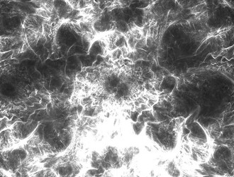 Similar image 21667006