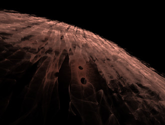 Similar image 21667007